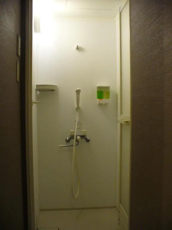Family Inn Saiko Tokyo 3*,